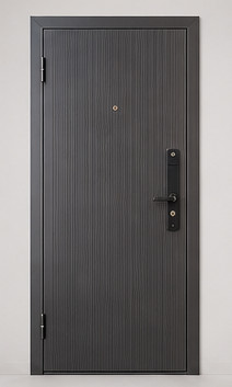 Steel Security Door